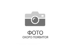 Сальник 100x125x12. 53100038
